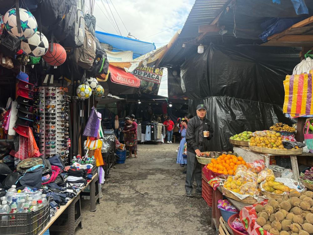 Fresa, aguacate y cebolla: estos son sus precios en Xela